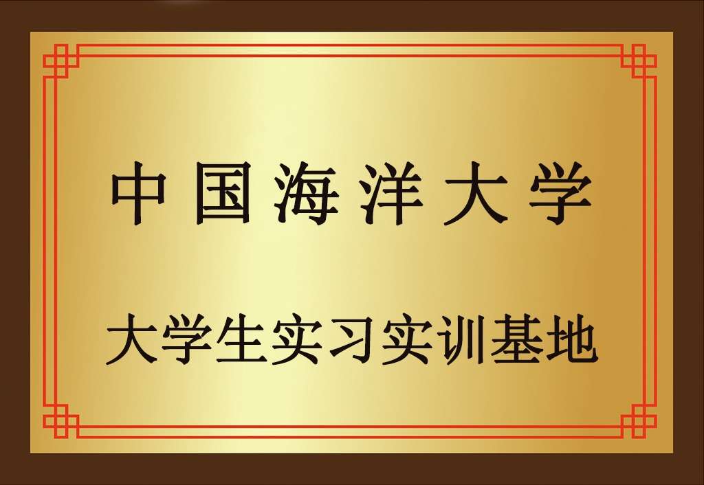 荣誉资质